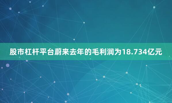 股市杠杆平台蔚来去年的毛利润为18.734亿元