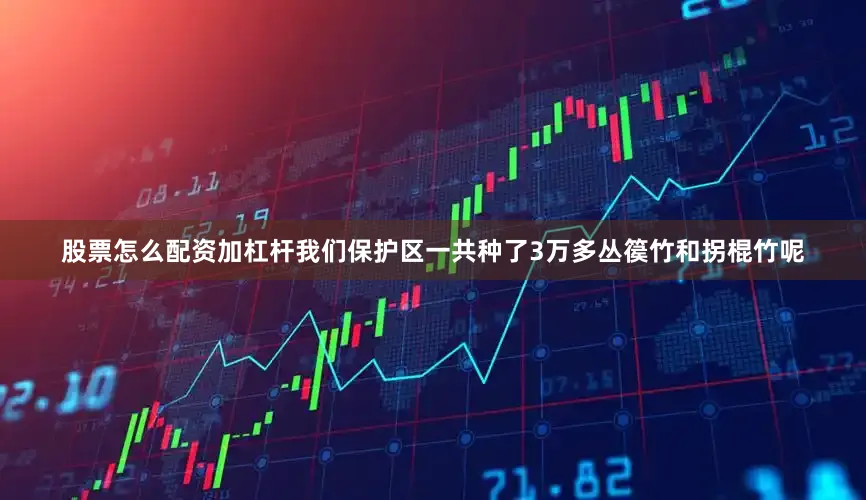 股票怎么配资加杠杆我们保护区一共种了3万多丛篌竹和拐棍竹呢