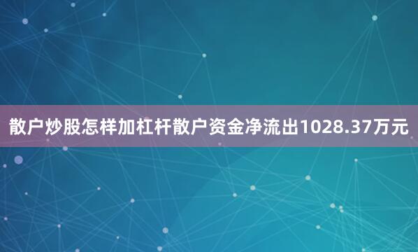 散户炒股怎样加杠杆散户资金净流出1028.37万元
