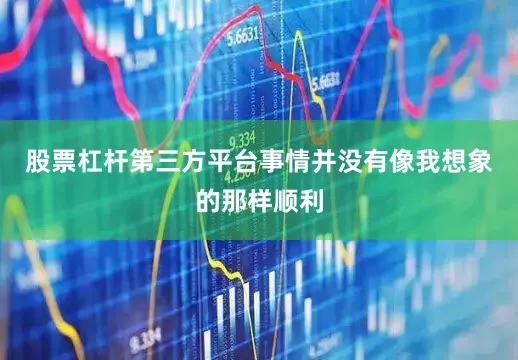 股票杠杆第三方平台事情并没有像我想象的那样顺利
